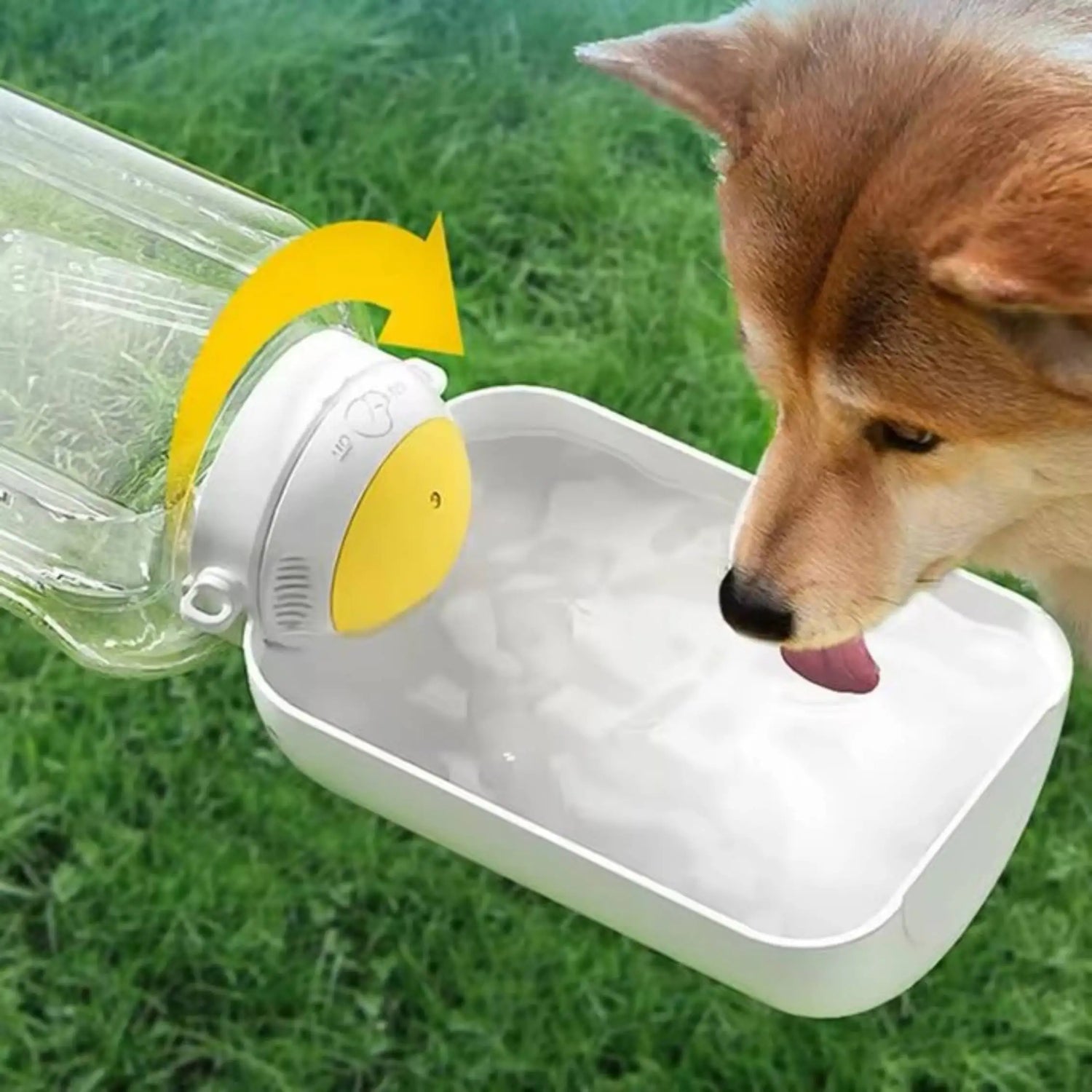 1000Ml Dog Ton Ton Large Capacity Pet Drinking Pot Cat Drinking Water Portable Cup Water Food One Bowl